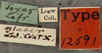 Media type: image;   Entomology 12591 Aspect: labels